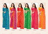 Savera Vol 12 By Ruchi Chiffon Saree Attached With Border Wholesale Clothing Suppliers In India